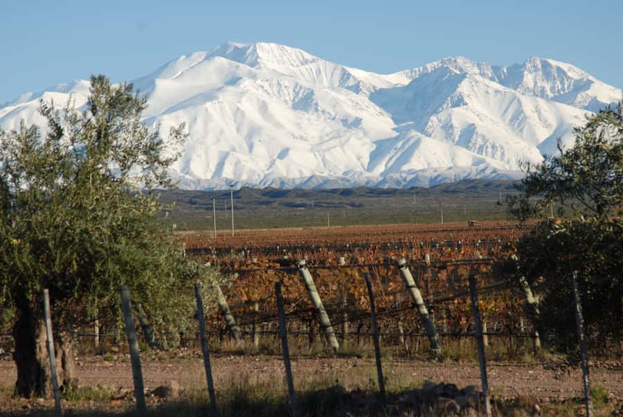 Mendoza: Full Day Wine Tour with 3 Course Lunch - Picking your region: Luján de Cuyo, Maipú, or Valle de Uco