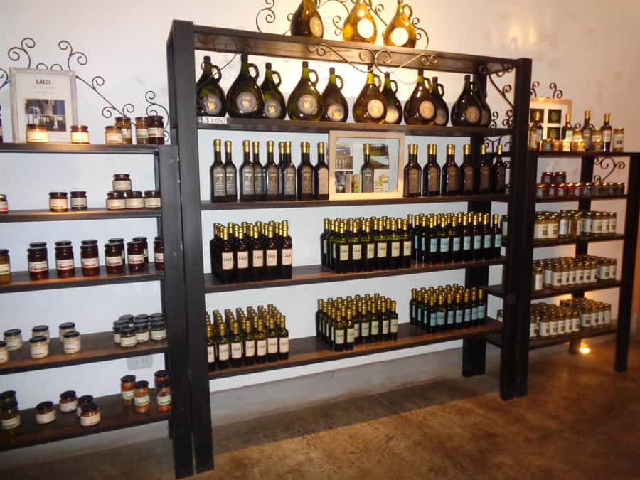 Mendoza: Half-Day Wine Tour with Tastings - Quick hits you should know