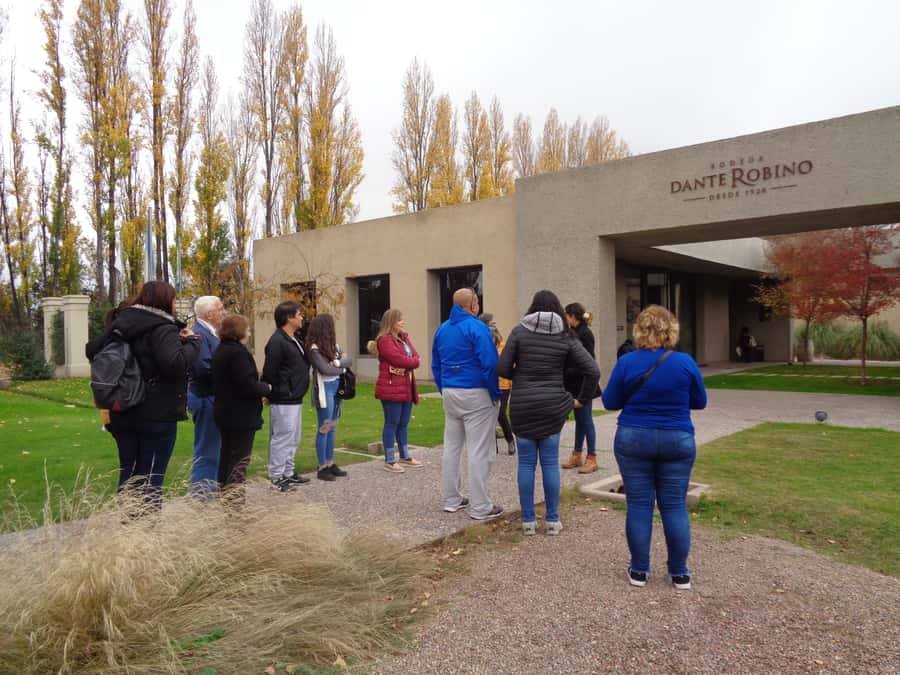 Mendoza: Half-Day Wine Tour with Tastings - Entering Mendoza’s Wine Country, Built on Canals