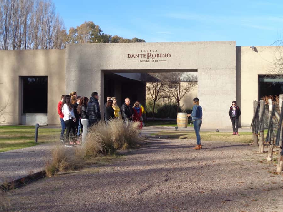 Mendoza: Half-Day Wine Tour with Tastings - Wine Country Basics, From Grape to Bottle