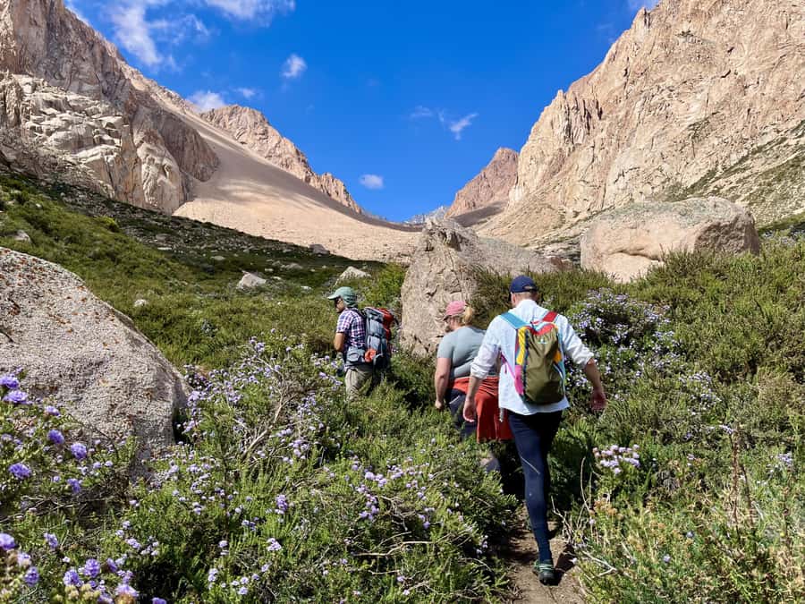 Mendoza: Hiking, Meditation & Yoga in the Andes with Lunch - The First Wildlife Hour: Safety, Views, and a Slow Start