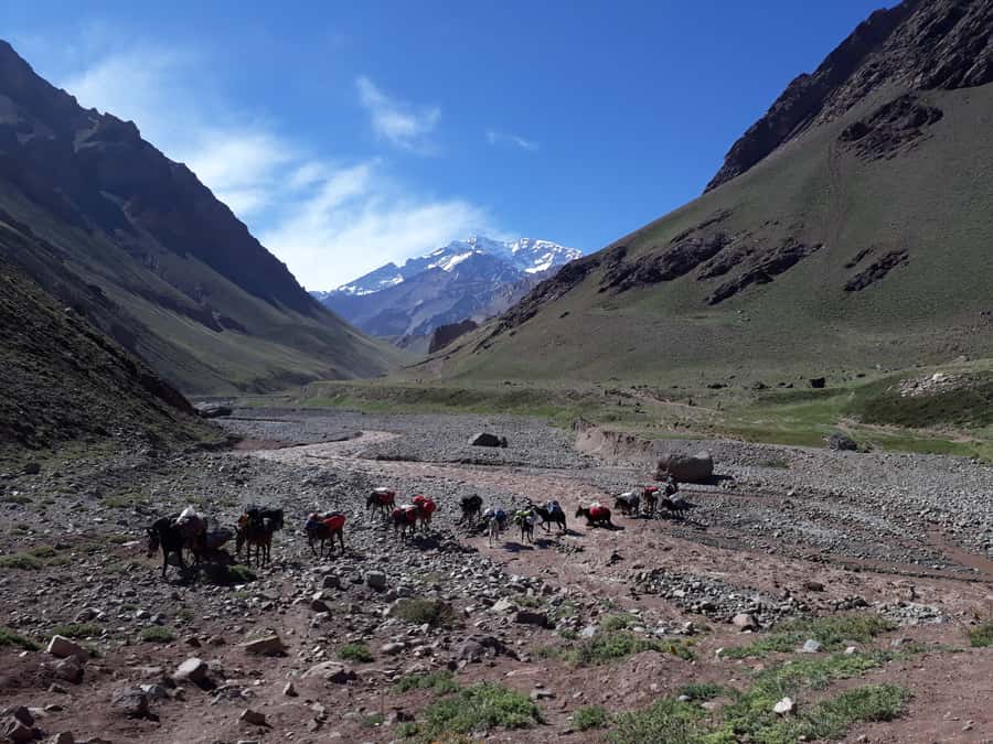 Mendoza: Mt. Aconcagua Confluencia Camp Trekking - The Hiking Day Plan: From the Trail Start to Confluencia Camp