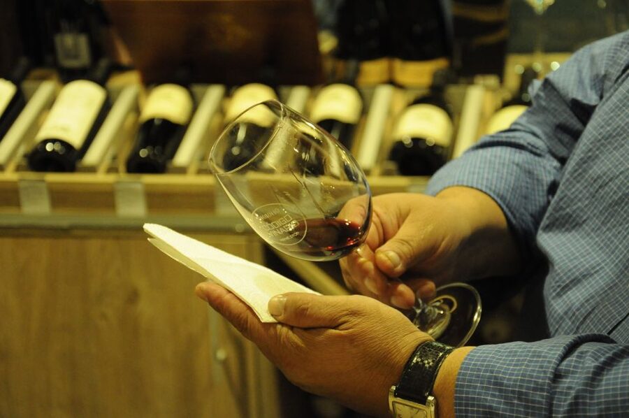 Mendoza: Premium Wine Tasting - What the guides actually do during the tasting