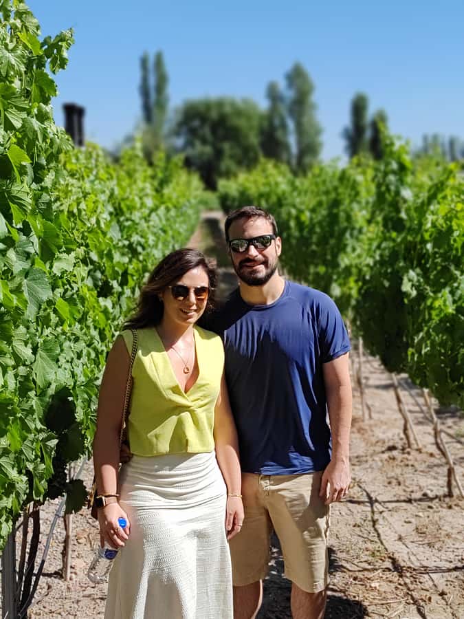 Mendoza's top wineries ! All Inclusive Private Tours! - Door to door Mendoza wine day, without the headache