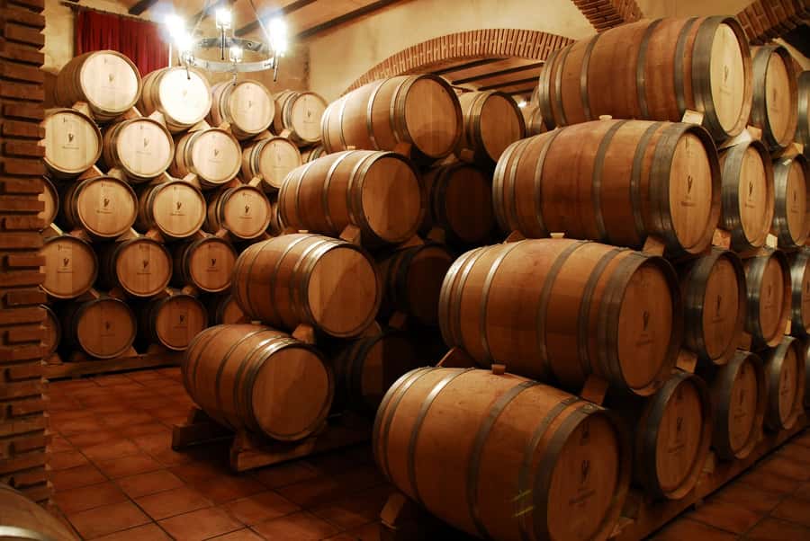 Mendoza: Small-Group Wineries Tour with Tasting and Lunch - Hotel pickup to vineyard country: the Lujan de Cuyo and Maipu drive