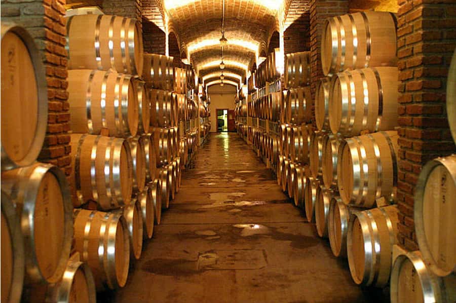 Mendoza: Small-Group Wineries Tour with Tasting and Lunch - Practical tips that make or break your Mendoza comfort