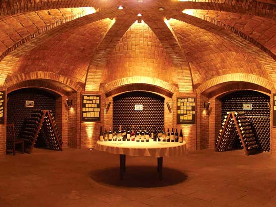 Mendoza: Small-Group Wineries Tour with Tasting and Lunch - Winery stop one: seeing traditional and modern winemaking in action
