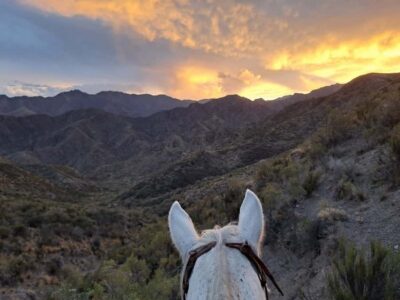 Sunset Horse Back Riding in the Mountains and BBQ