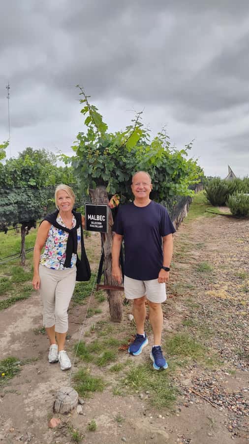 Mendoza: Top Wineries Guided Tour with Transportation - How the Mendoza Tour Runs, From Pickup to Drop-Off Time
