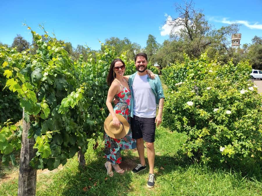 Mendoza: Top Wineries Guided Tour with Transportation - Food Quality and the Pace, What to Watch For
