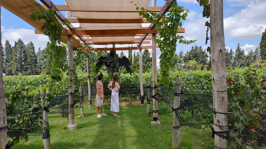 Mendoza: Top Wineries Guided Tour with Transportation - The First Two Wineries: Tastings Plus a Guided Tour of the Property