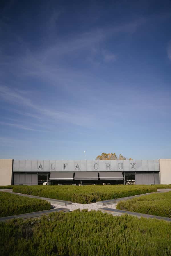 Mendoza: Tour with tasting and lunch High Altitude Wineries - Key Highlights You Will Care About