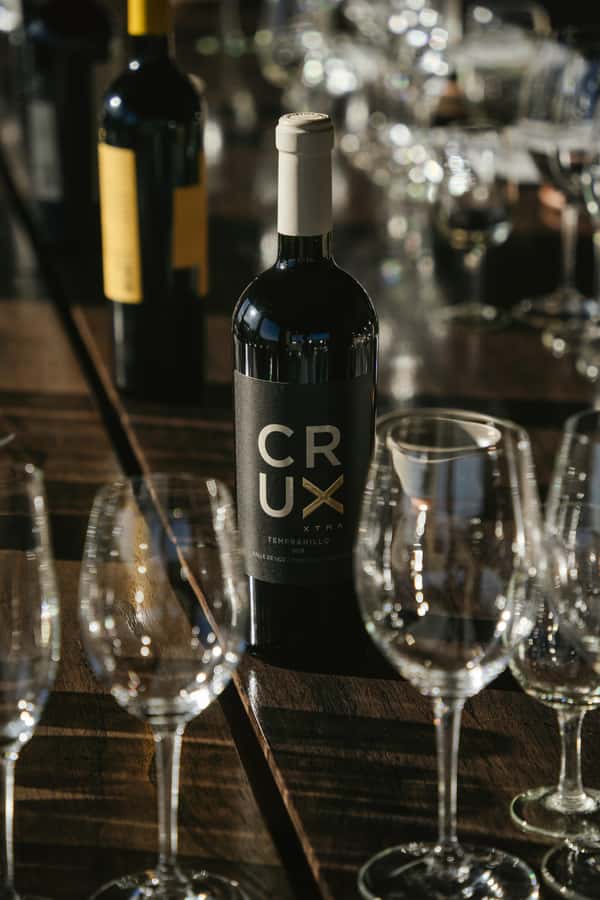Mendoza: Tour with tasting and lunch High Altitude Wineries - The Transfer to Alfa Crux: Lunch at 1pm, Full Focus
