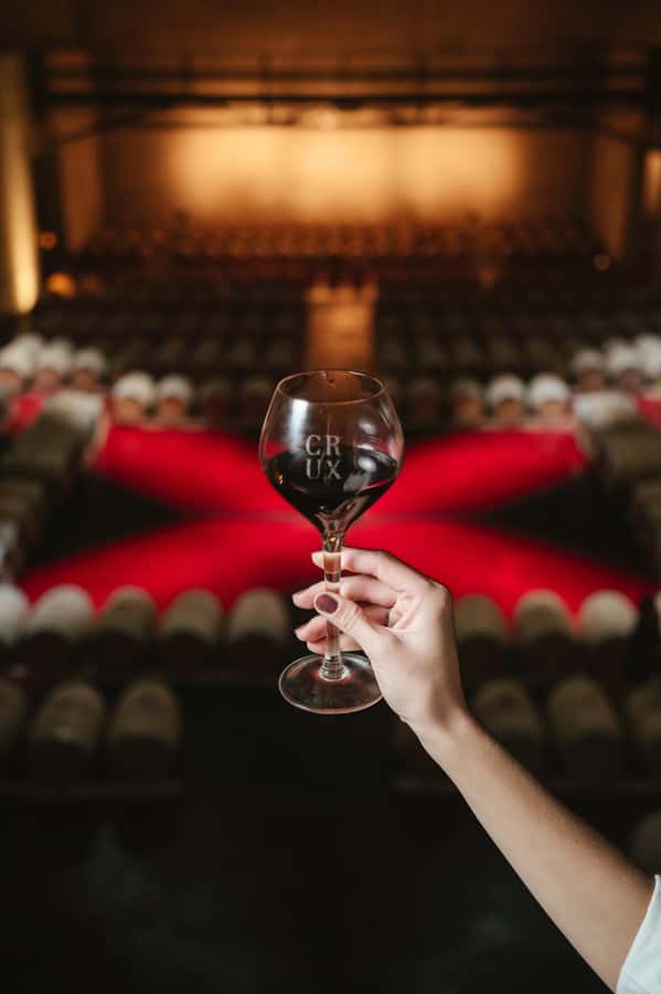 Mendoza: Tour with tasting and lunch High Altitude Wineries - Practical Tips Before You Go