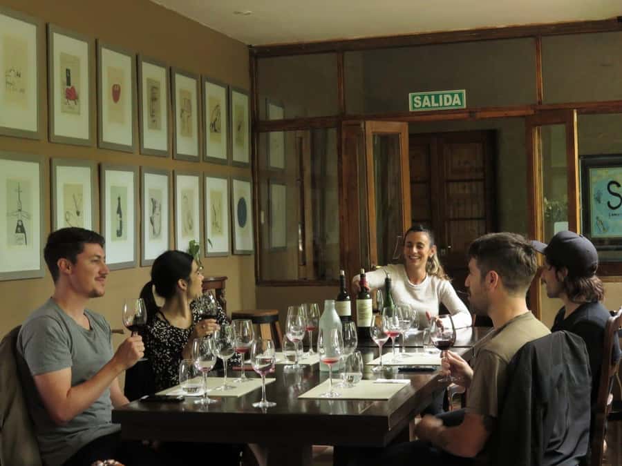 Mendoza: Wine Tasting Tour with Lunch and Private Transport - The big idea: a private Mendoza wine day without the juggling