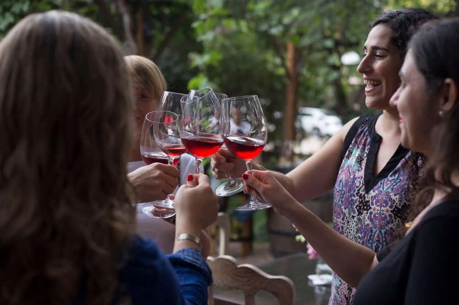 Mendoza: Wine Tasting Tour with Lunch and Private Transport - Who this tour suits best, and who might want a different plan