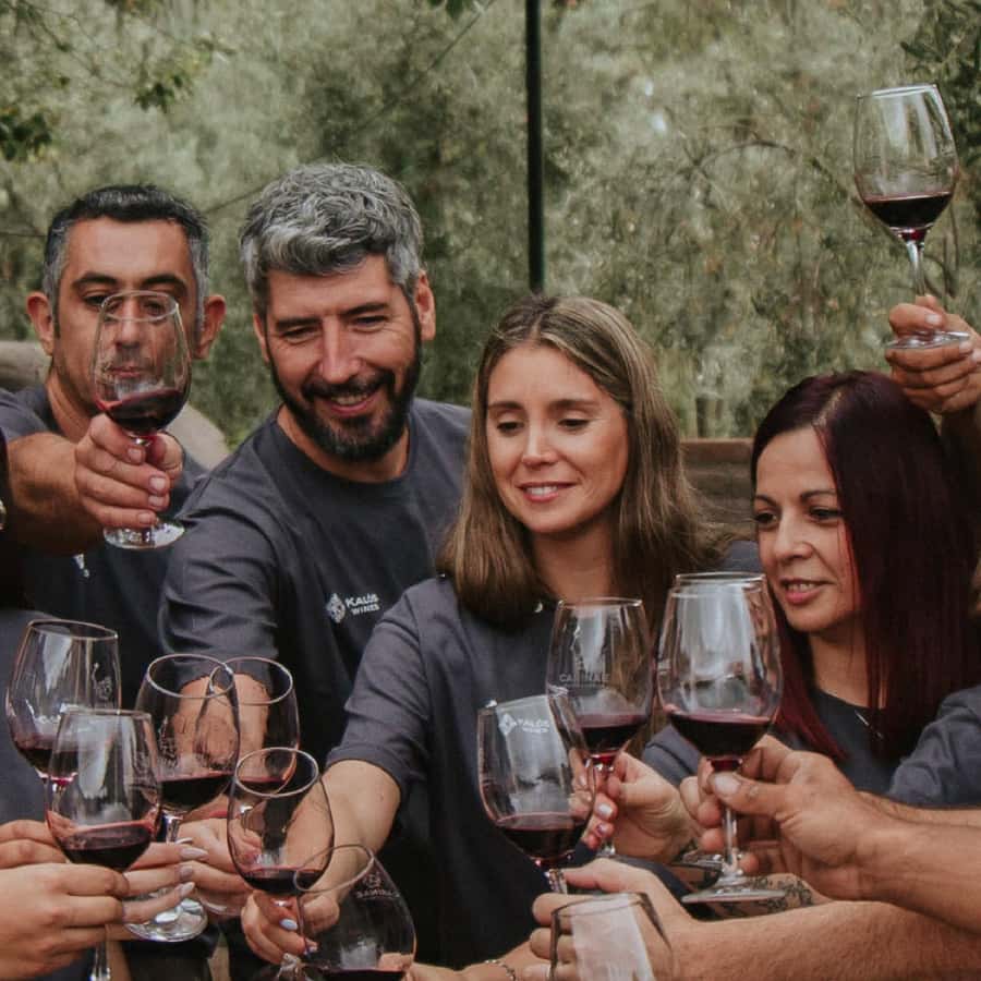 Mendoza: Wine Tasting Tour with Lunch and Private Transport - Key takeaways before you go