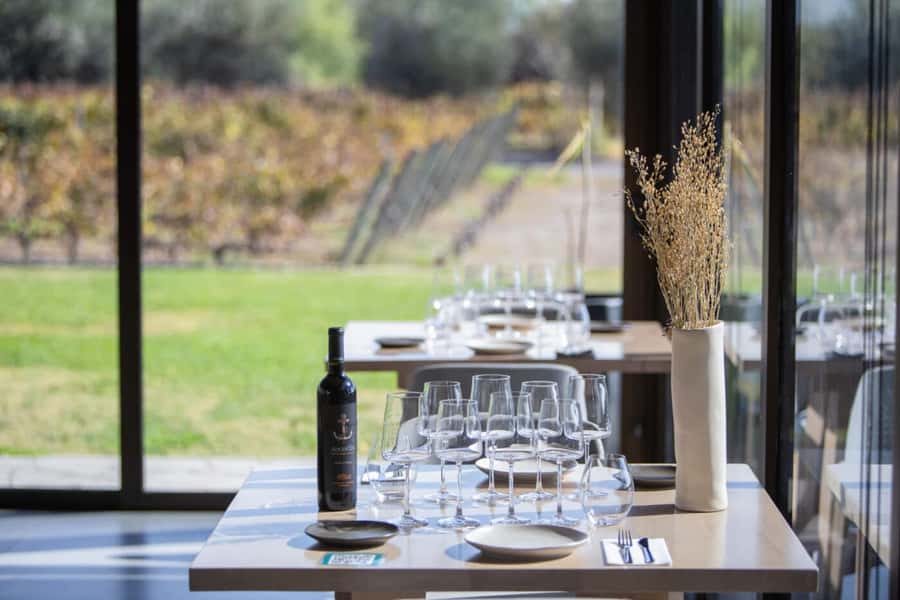 Mendoza: Wine Tasting Tour with Lunch and Private Transport - Choosing wineries: what you can get from Carinae, La Rural, Tempus Alba, Antigal