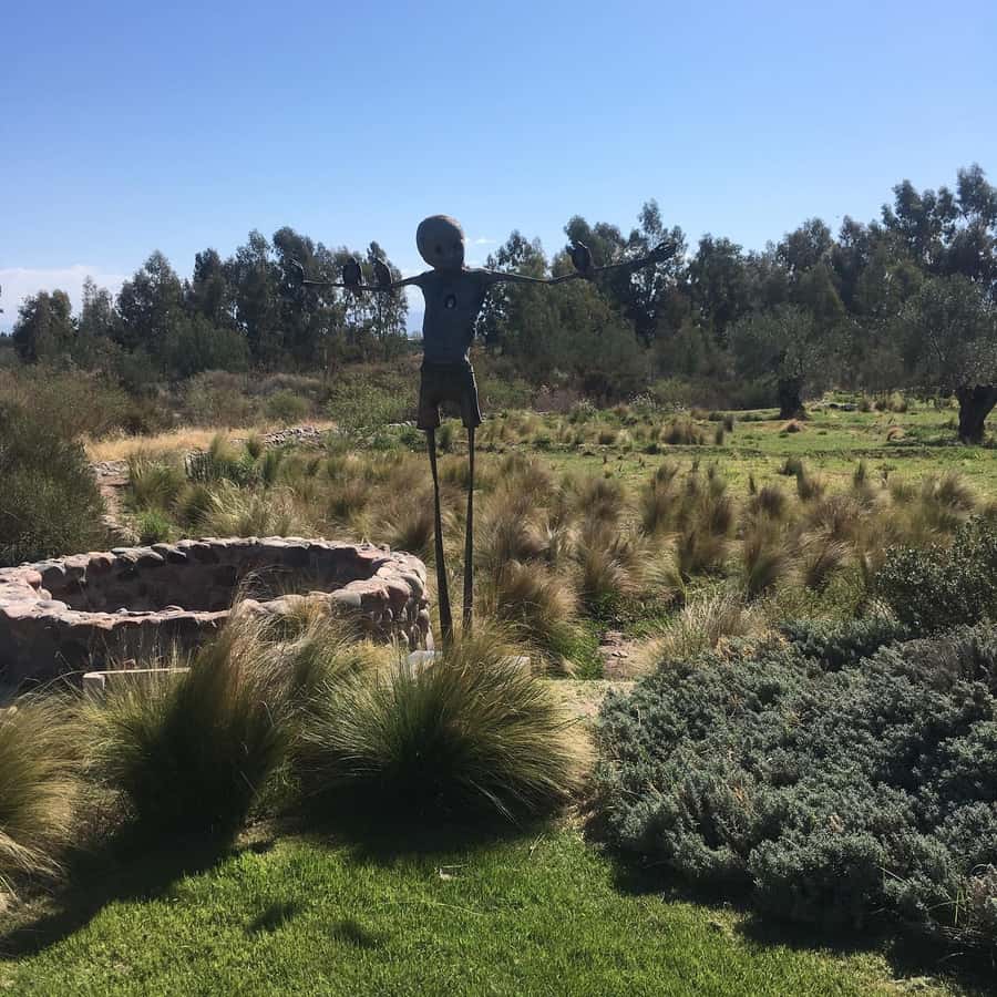 Mendoza: Wine Tasting Tour with Lunch and Private Transport - The Andes view moment: why it matters more than a photo stop