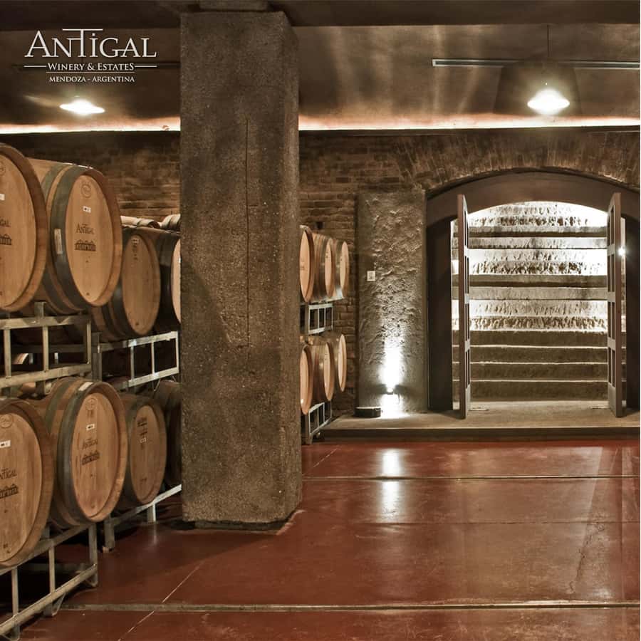 Mendoza: Wine Tasting Tour with Lunch and Private Transport - Lunch at a Mendoza winery: the 3-course payoff