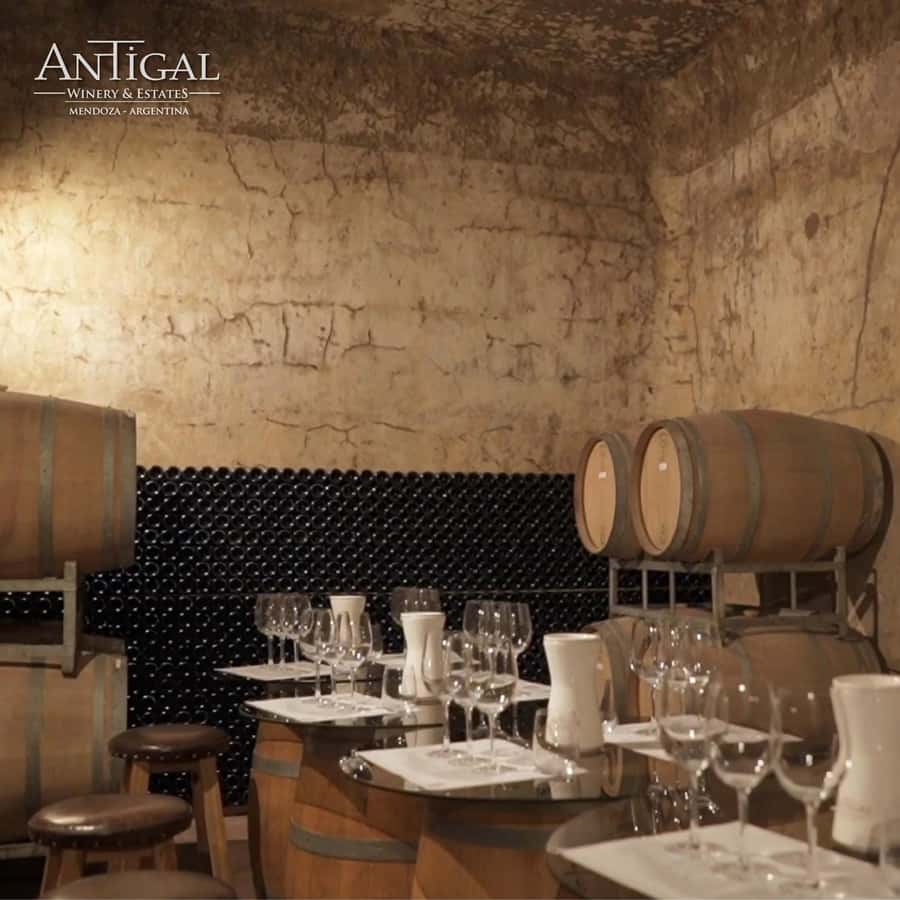 Mendoza: Wine Tasting Tour with Lunch and Private Transport - How the 7-hour schedule keeps the day feeling relaxed