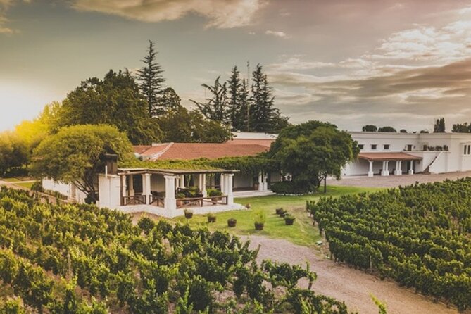 Mendoza Wine Tour with Lunch - Key Highlights You Should Know Before You Go