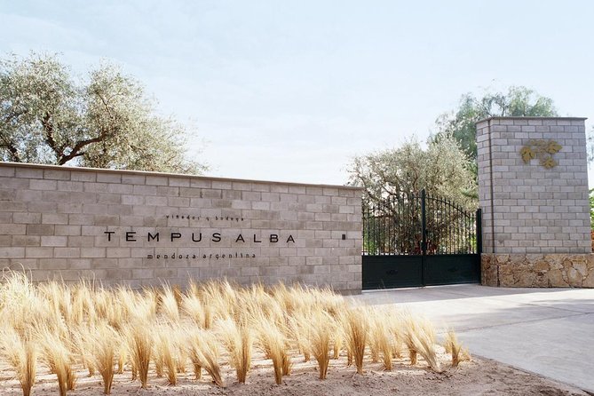 Mendoza Wine Tour with Lunch - A Clean, Easy Way to See Mendoza Wine Country