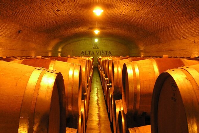 Mendoza Wine Tour with Lunch - Tempus Alba: Multi-Generational Storytelling and Extra Time