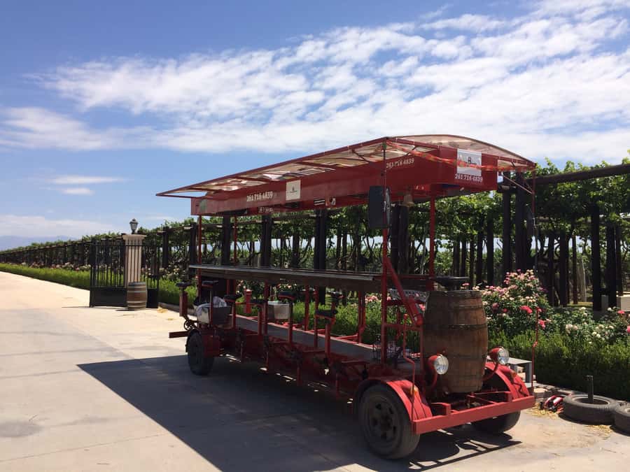 Mendoza: Winebike Tasting Tour with Optional Lunch - Why a multi-bike wine tasting feels different in Mendoza