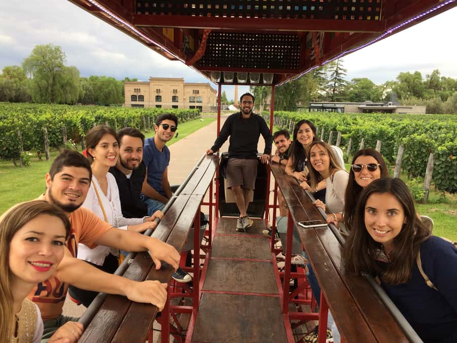 Mendoza: Winebike Tasting Tour with Optional Lunch - La Melessca olive oil factory: a tasting lesson that actually sticks