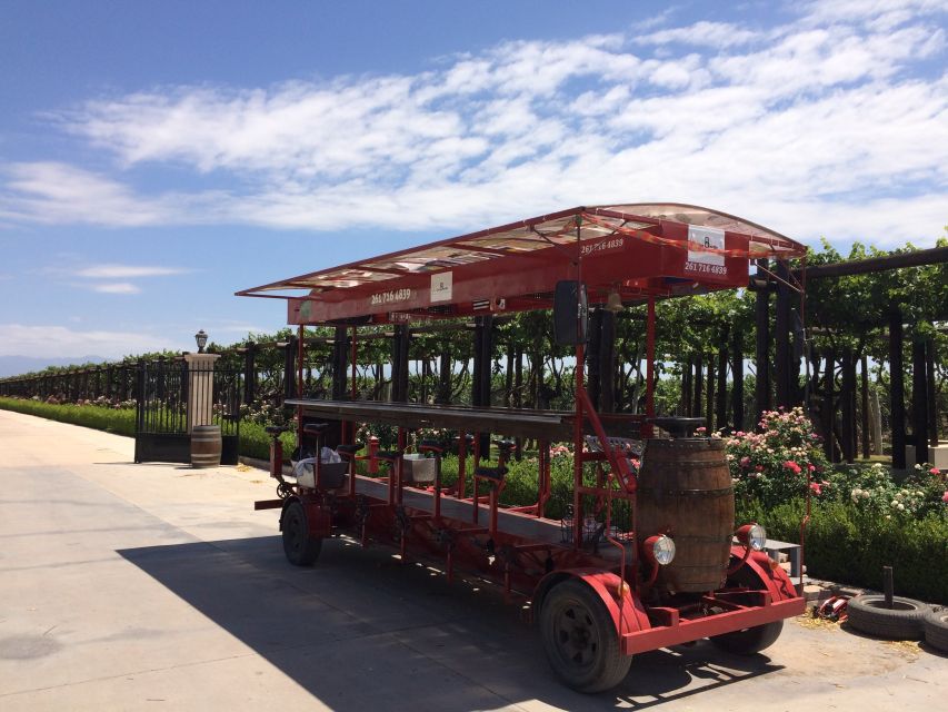 Mendoza: Winebike Tasting Tour with Optional Lunch - What you’ll taste, and how to handle all those pours