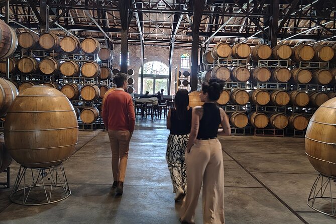 Mendoza Winery Tour with Olive Trees in Private Service - A Private Wine and Olive Day Around Mendoza