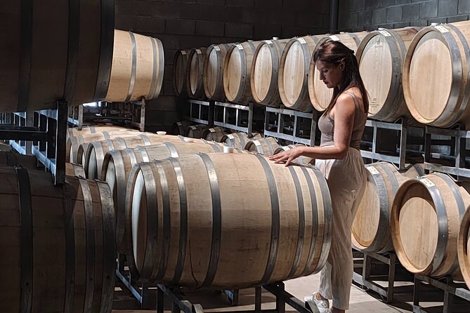 Mendoza Winery Tour with Olive Trees in Private Service - Stop 1: Antigal Winery and Estates, Vineyard Walk and Three Glasses
