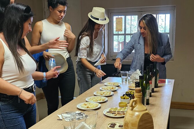Mendoza Winery Tour with Olive Trees in Private Service - Stop 2: Olivicola Boutique Pasrai, Guided Olive Oil Tasting