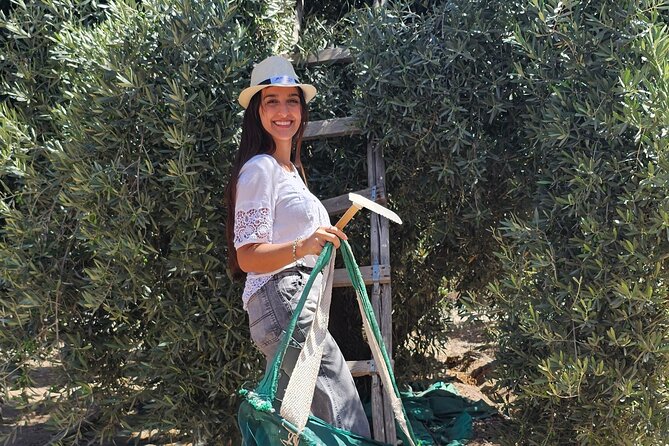 Mendoza Winery Tour with Olive Trees in Private Service - The Service Quality That Shows Up in Real Details
