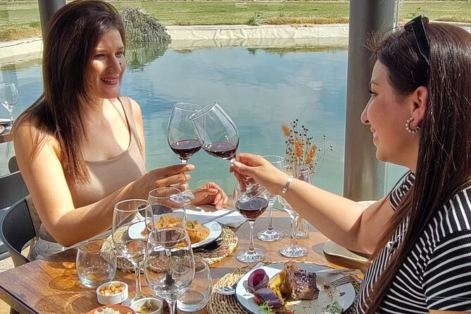 Mendoza Winery Tour with Olive Trees in Private Service - Price and What You Get for It