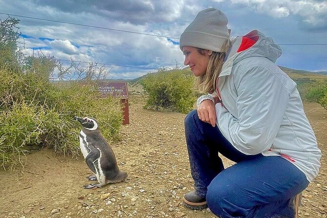 Monte Leon 4x4 Sea Lions and Penguins - Price and value: is $250 worth it?