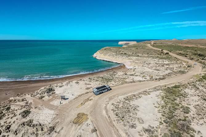 Monte Leon 4x4 Sea Lions and Penguins - English translation quality: what to watch for before you book