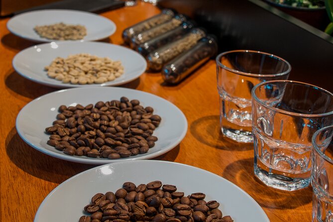 N1 Coffee Tasting Experience in Buenos Aires - Seed to Cup Lessons: How the Workshop Explains Specialty Coffee Quality