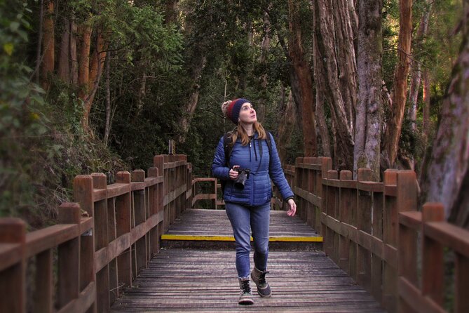 Nahuel Huapi Lake Cruise with Victoria Island and Arrayan Forest Walk - Cruising Nahuel Huapi National Park: the lake portion, the breaks, and lunch reality