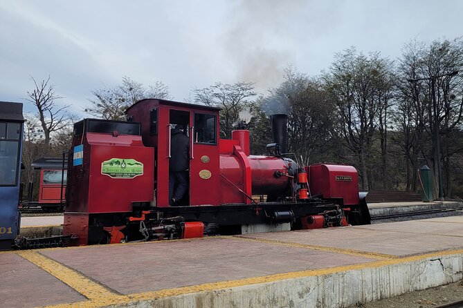 National Park with Train and Navigation Beagle Channel Full Day Tour - Lunch in the Center of Ushuaia: Two Hours to Reset