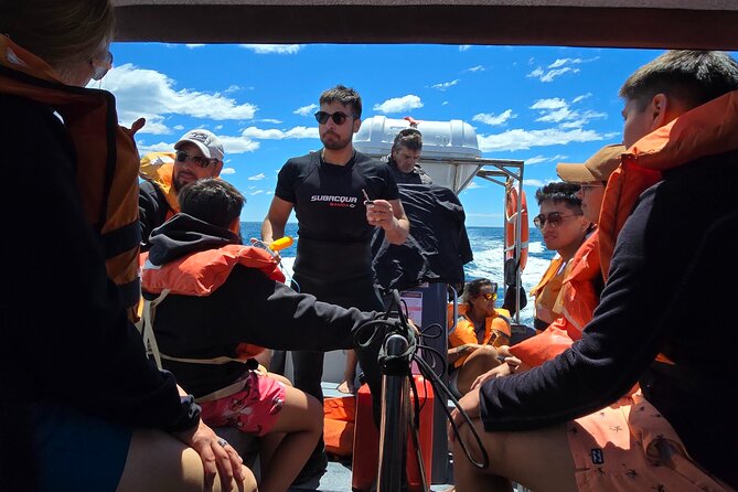 Nautical Adventure in Search of Dolphins - Puerto Madryn, Golfo Nuevo, and why dusky dolphins are the star