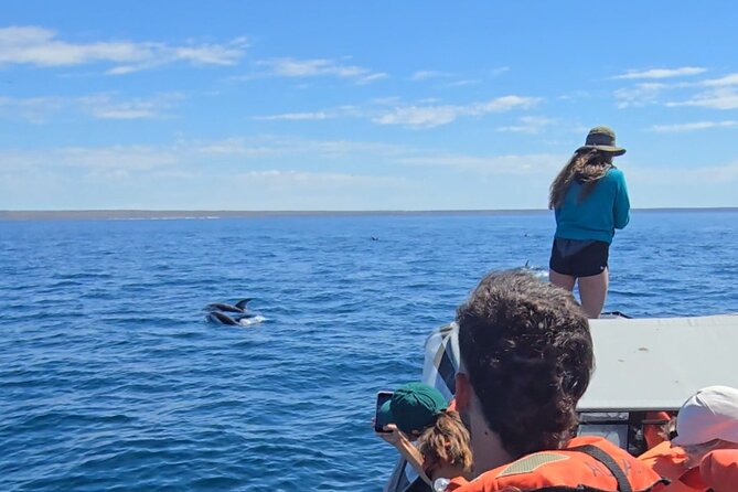 Nautical Adventure in Search of Dolphins - Getting to Bv. Almte Brown and boarding the 8-meter semi-rigid boat