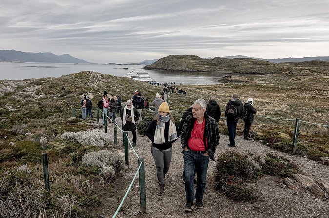 Navigation Beagle Canal to the Lighthouse - Isla de Los Pájaros: The Seabird Time That Makes the Cruise Feel Alive