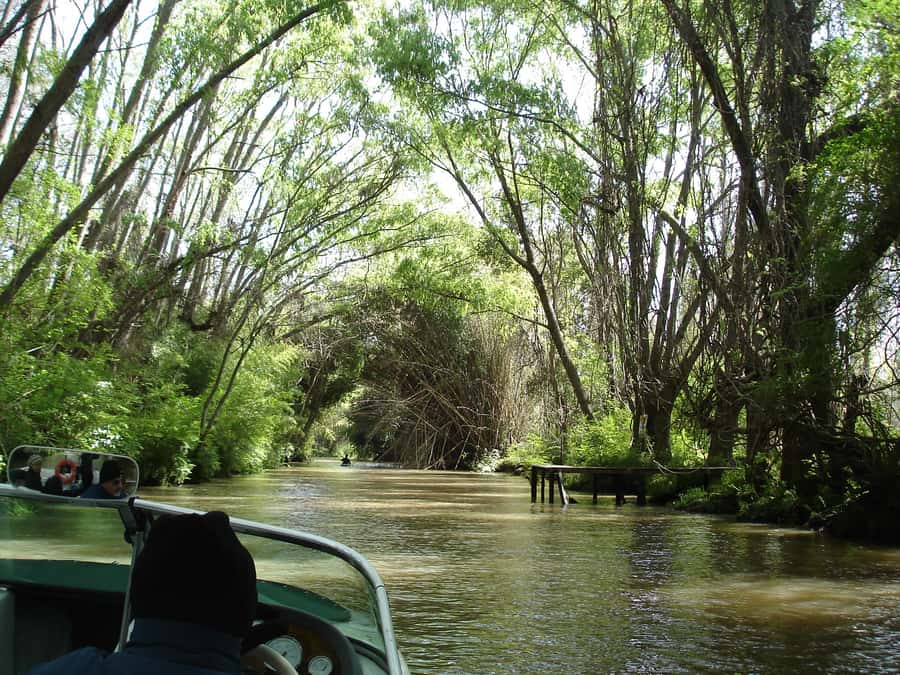 Navigation in Delta of Tigre - Exclusive semi private tour - Why Delta Navigation Feels Different Than a Big-Boat Trip