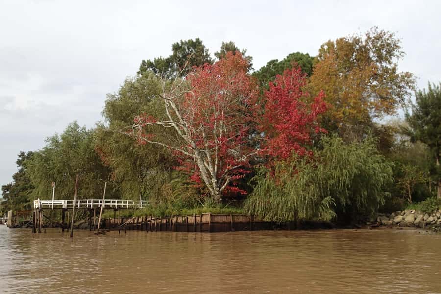 Navigation in Delta of Tigre - Exclusive semi private tour - What This Tour Includes, and What You’re Actually Paying For
