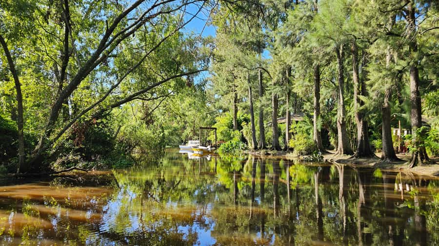 Navigation in Delta of Tigre - Exclusive semi private tour - The 15 Minutes of Tigre You Don’t Want to Rush