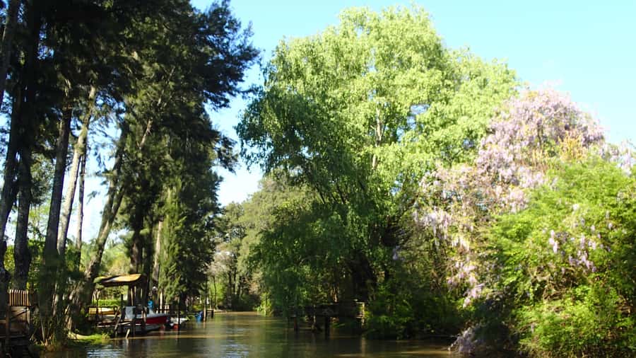 Navigation in Delta of Tigre - Exclusive semi private tour - 2 Hours of Delta Navigation on a Small Speedboat