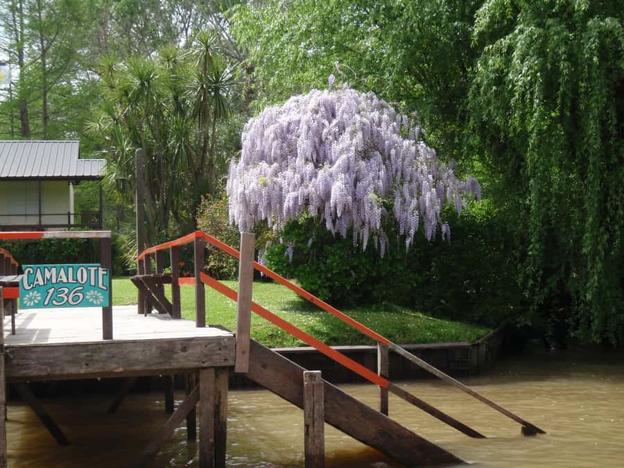 Navigation in Delta of Tigre - Exclusive semi private tour - Snack Included, Plus the Real-Life Packing Tips
