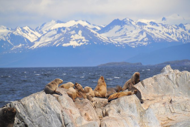Navigation in the Beagle Channel with minitrekking USHUAIA - Meeting Point and the 3-hour flow, what to expect day-of